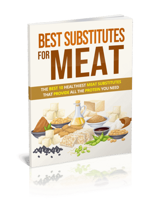 Best Substitutes For Meat: Ebook with PLR